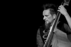  Juergen Reiter - Upright Bass - Dr. Will and the Wizards
