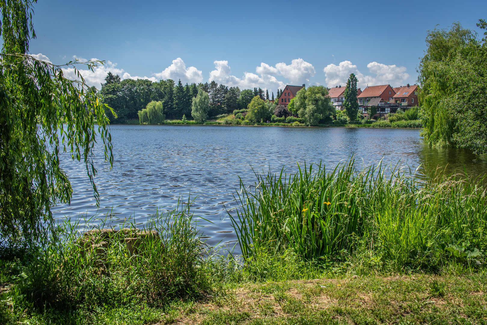 Juessee I Herzberg am Südharz Foto & Bild landschaft, bach, fluss