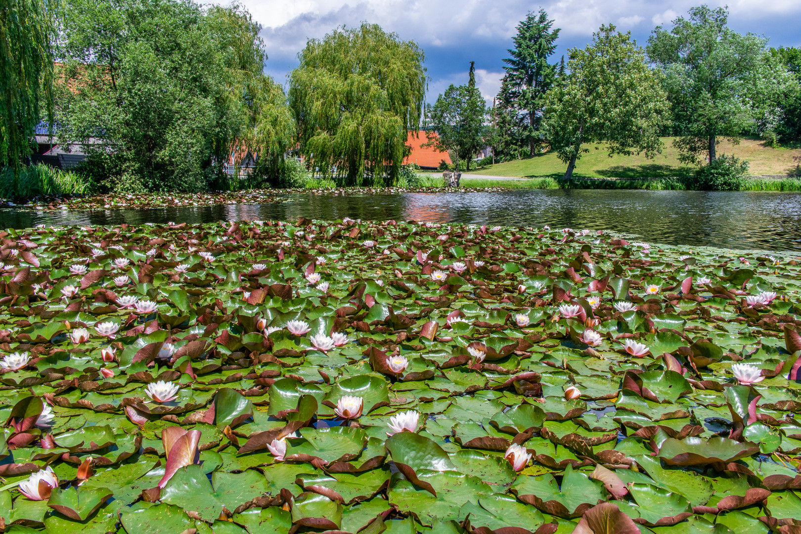 Juessee II Herzberg am Südharz Foto & Bild landschaft, bach, fluss