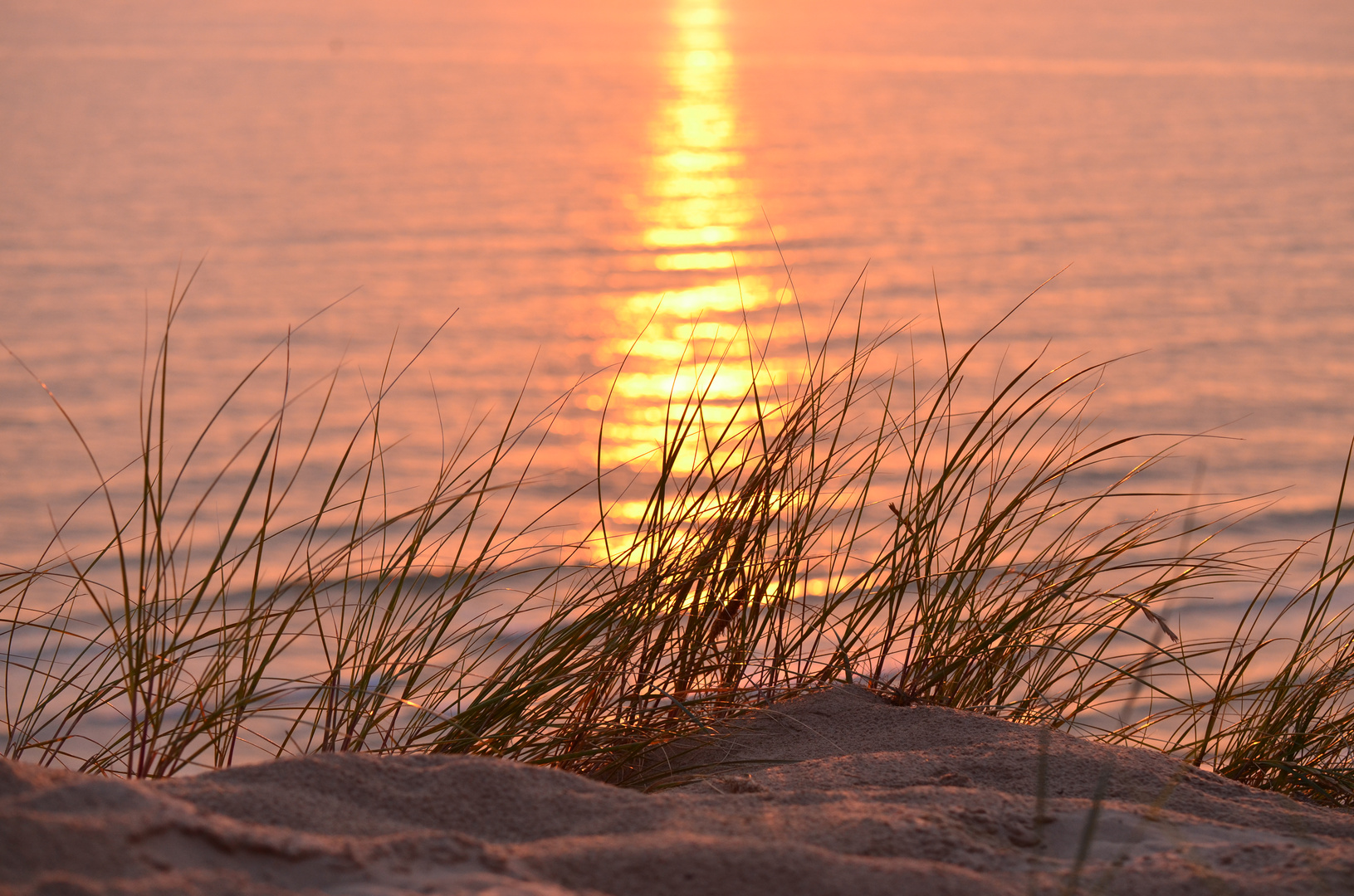 Jütland, Jammerbugten diesen Sommer!