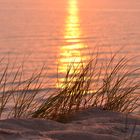 Jütland, Jammerbugten diesen Sommer!