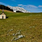 Jufen Alm liegt lieblich in der Bergwelt eingebettet