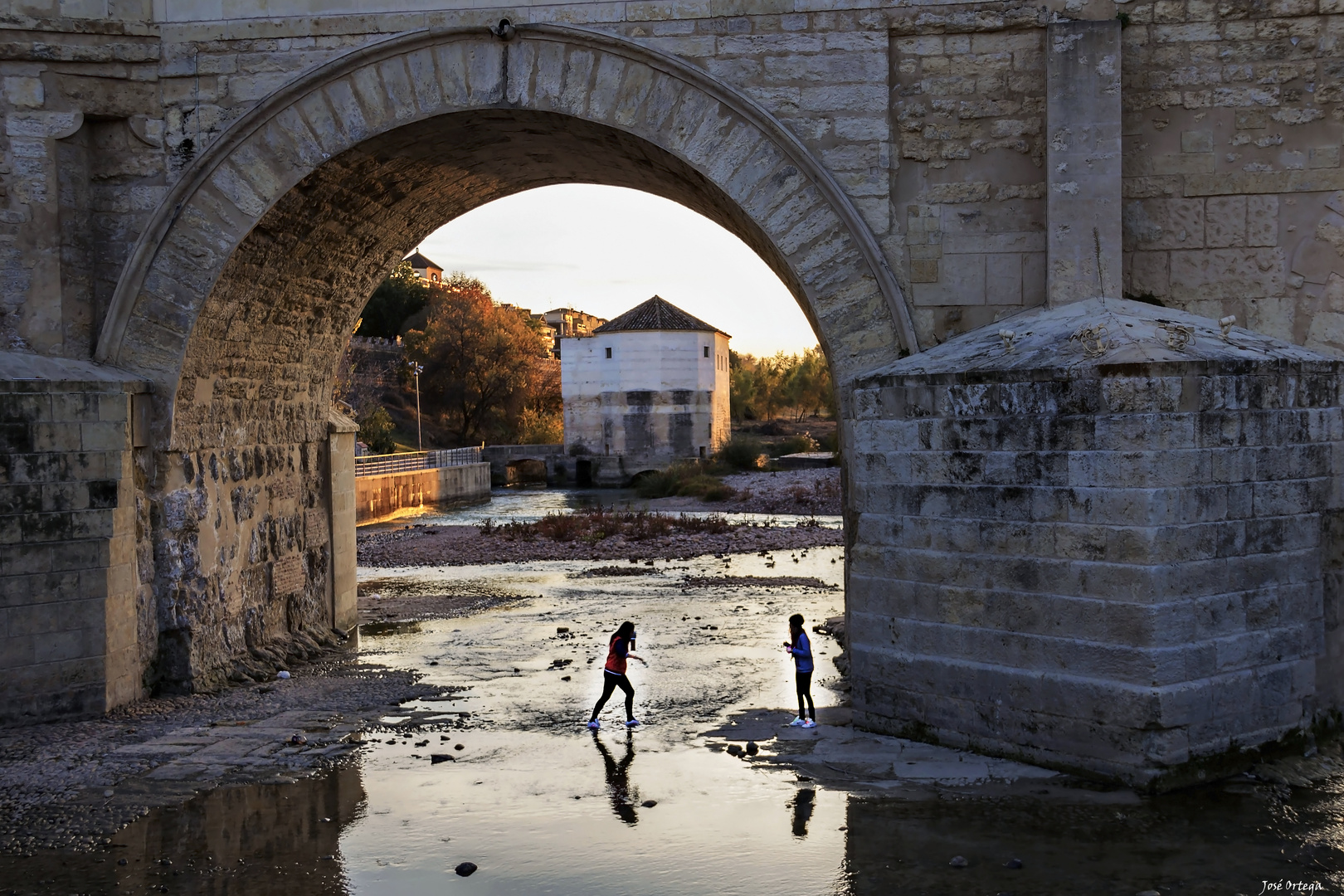 Jugando bajo el puente