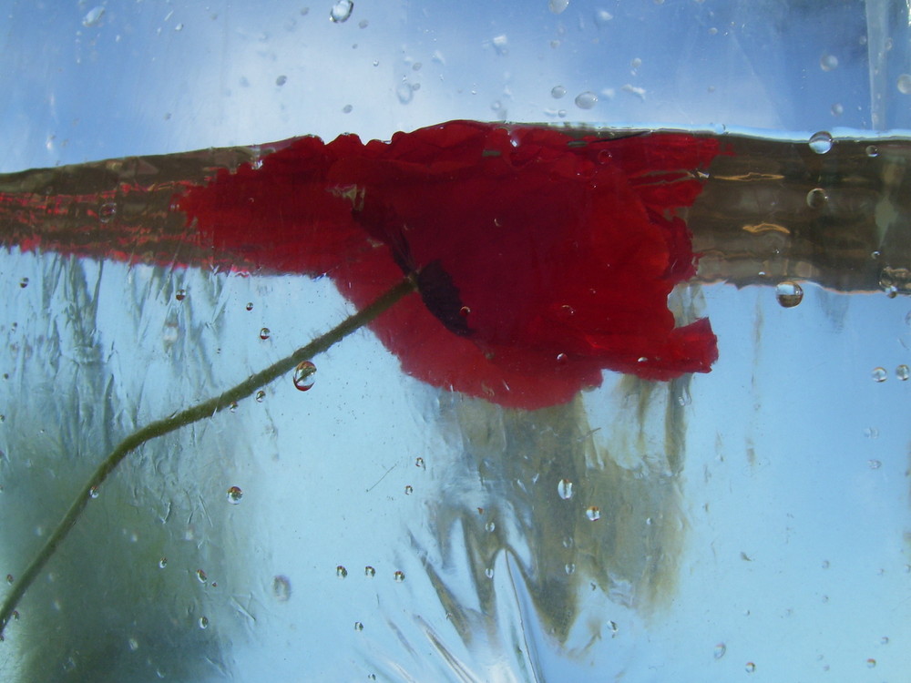 Jugando con el agua...FERNANDO LÓPEZ   fOTOGRAFÍAS...