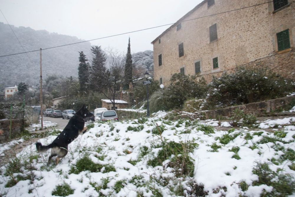 Jugando con la nieve