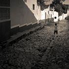 Jugando con la pelota