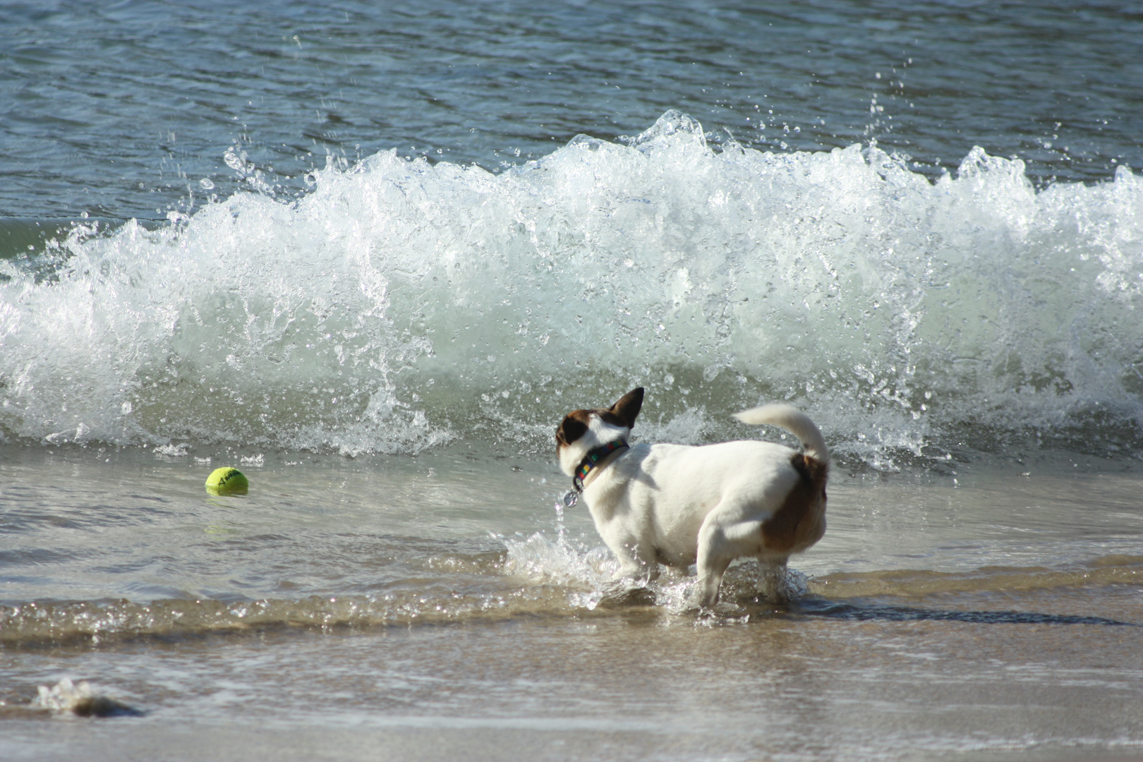 jugando con las olas