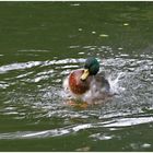 Jugando en el agua