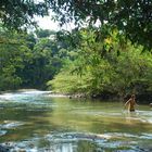 Jugando en el rio