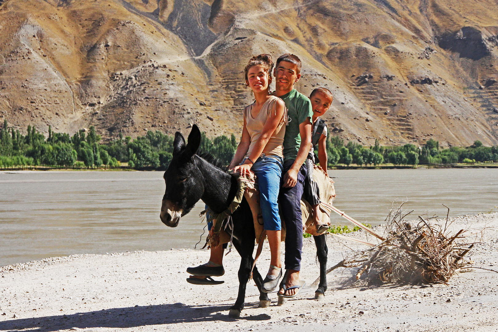 Jugend beim Holzsammeln,Taschikistan