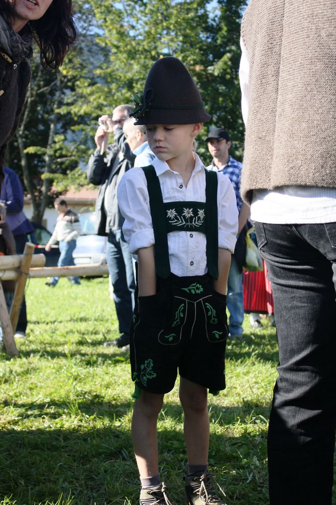 Jugend beim Pfrontner Viehscheid 2010