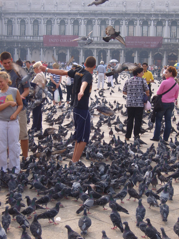 Jugendlicher und Tauben in Venedig