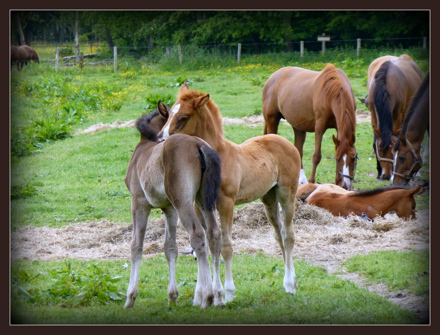 Jugendliebe