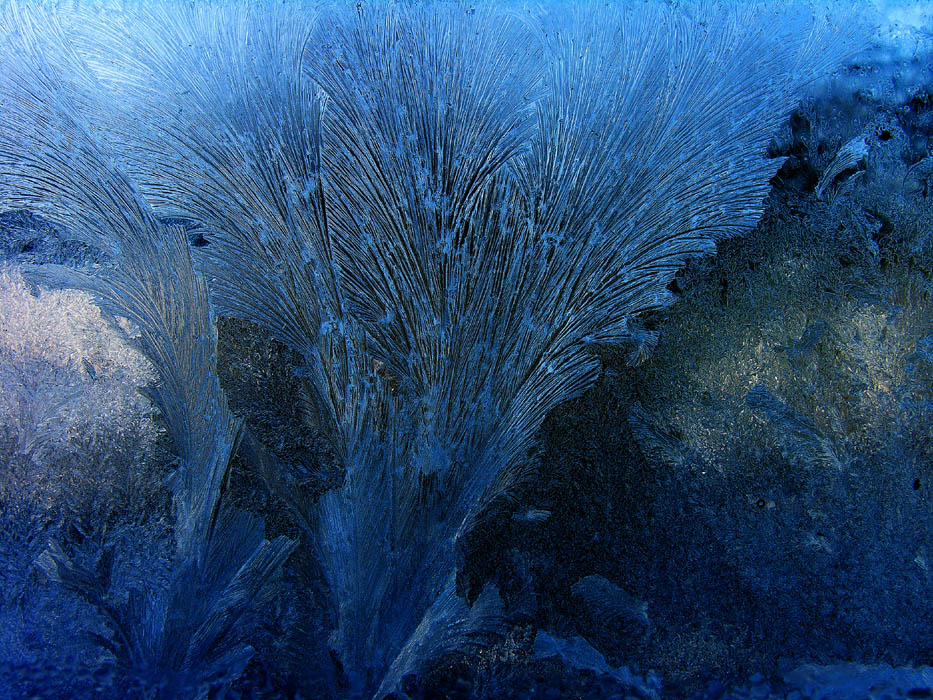 JUGENDSTIL - EISBLUMEN -  GRAVUR - oder: Ausbruch aus der Kälte, erstarrt...