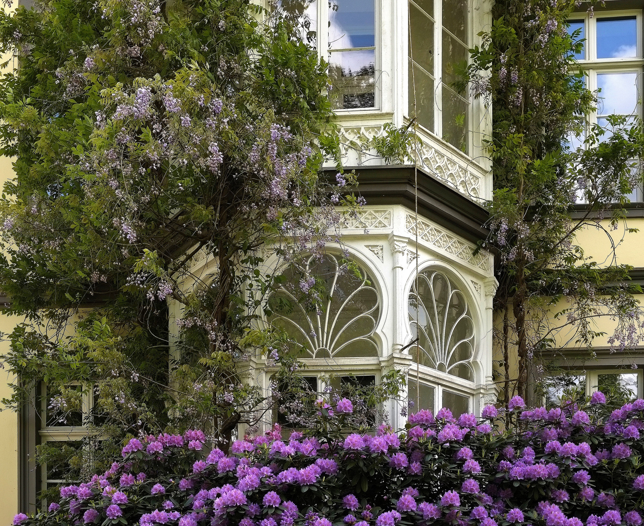 Jugendstil und Rhododendron