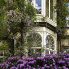 Jugendstil und Rhododendron