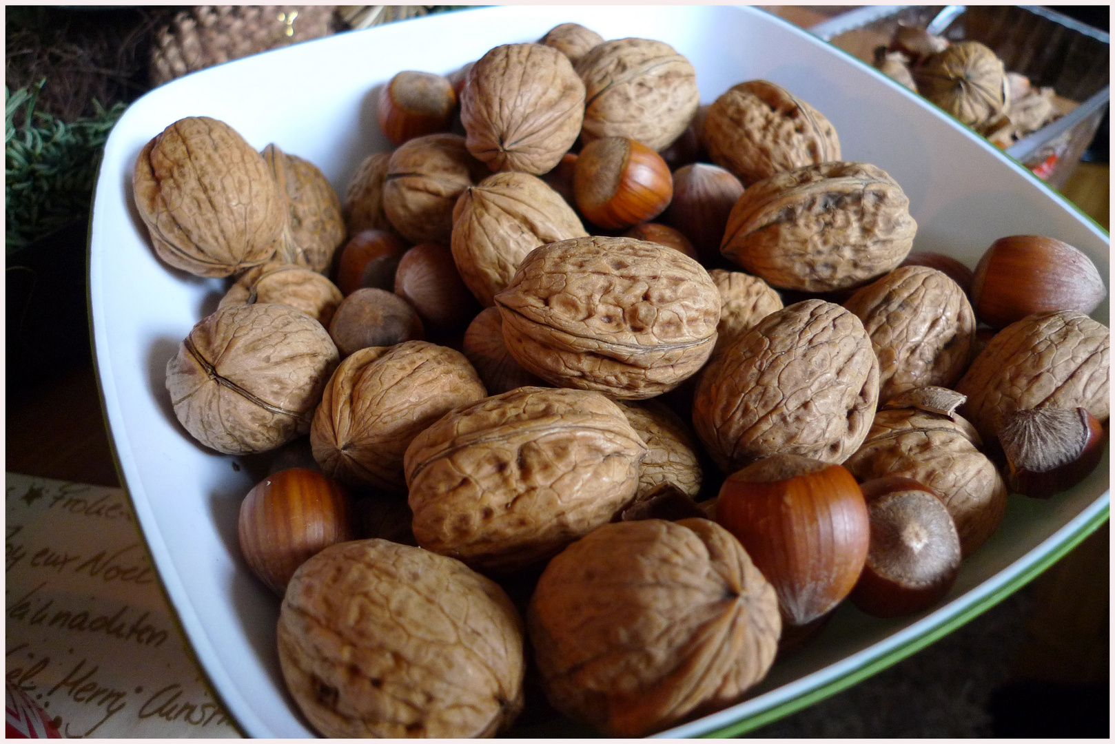 Juglans regia und Corylus avellana