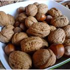 Juglans regia und Corylus avellana