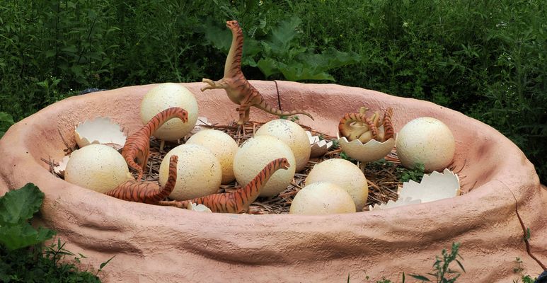 Juhu meine Jungsaurier sind endlich geschlüpft….