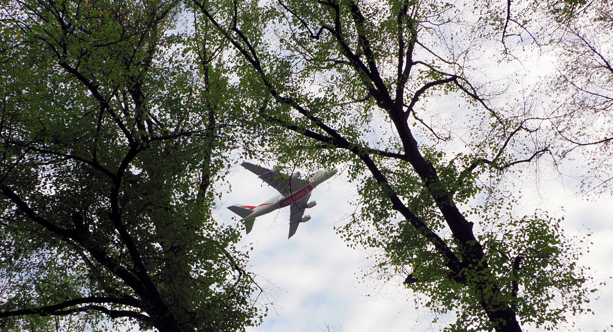 Juhu Urlaub ist gebucht … Foto & Bild flugzeug, motive