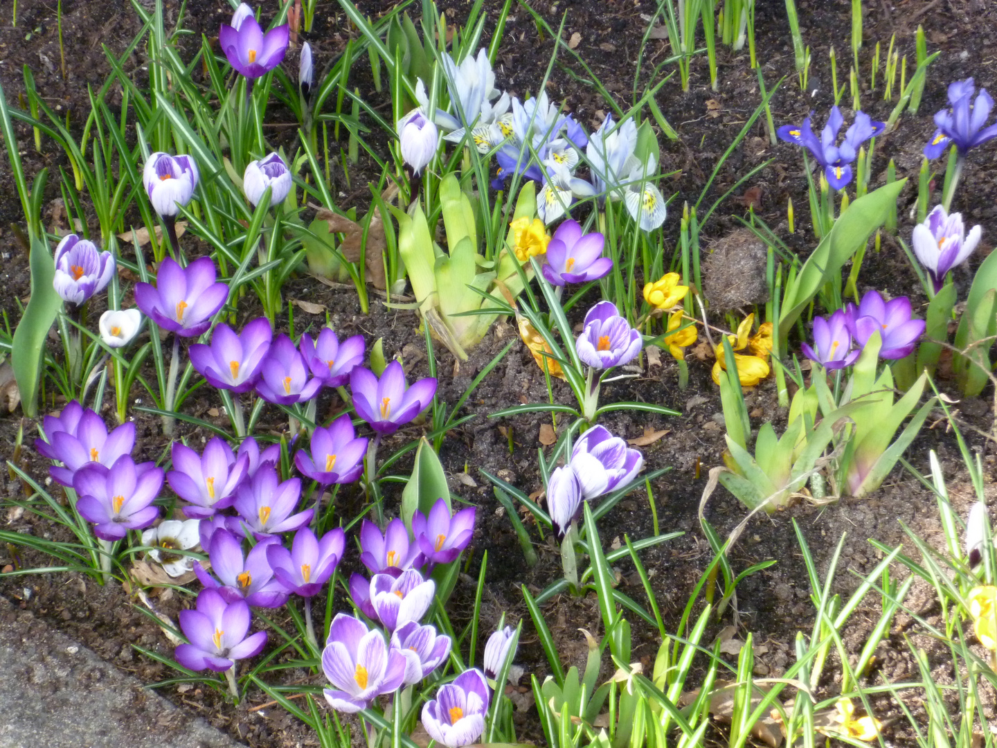 Juhu,endlich Frühling