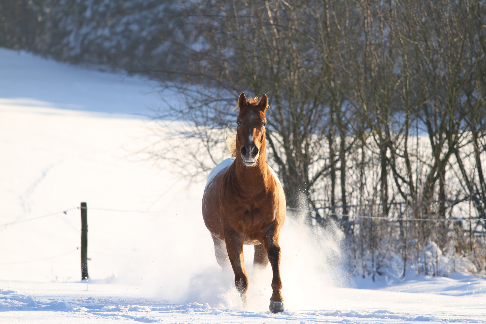 Juhuuuuu Schnee