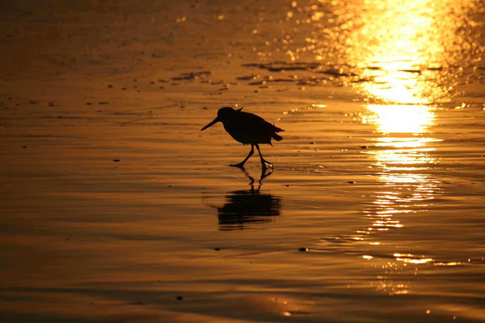 Juist am Strand