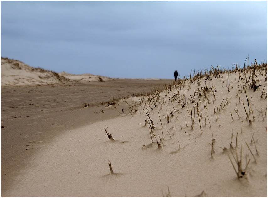 JuIST Dünen Einsamkeit - April -