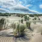 Juist : Wind In den Dünen