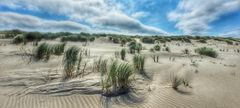 Juist : Wind In den Dünen