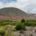 Jujuy - Cuesta de Lipán - Quebrada panorámica