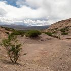 Jujuy - Impresiones de Humahuaca a Azul Pampa #1