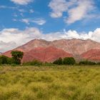 Jujuy - Impresiones de Tilcara a Humahuaca #4