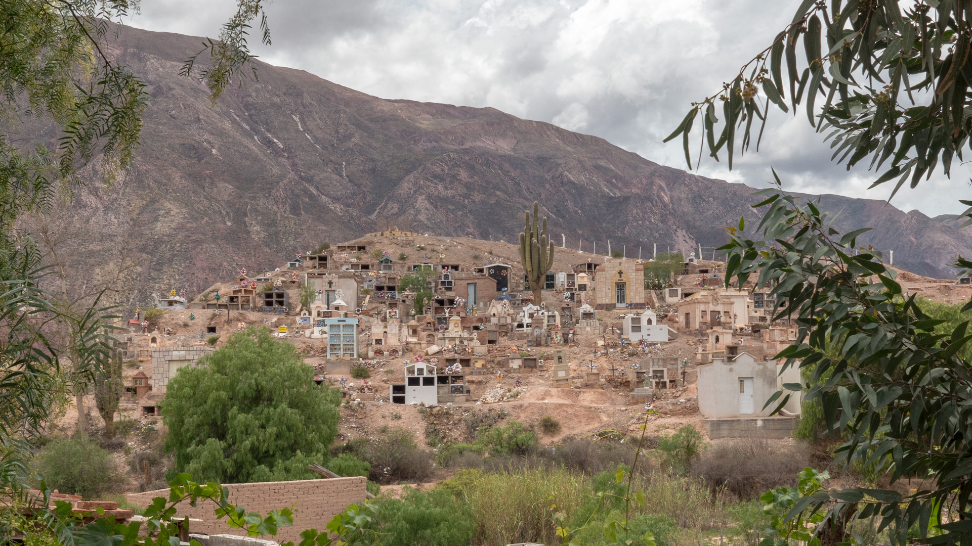 Jujuy - Maimara - Cementerio