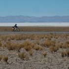  Jujuy - Salinas Grandes - Ciclistas