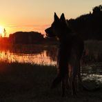 Jule bestaunt einen Sonnenuntergang