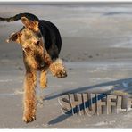 Jule-Shuffle: re-reloaded