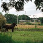 Juli 1974 - in welcher Stadt?