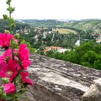 Juli 2008 in Sachsen Anhalt- und Thüringen Bild 25