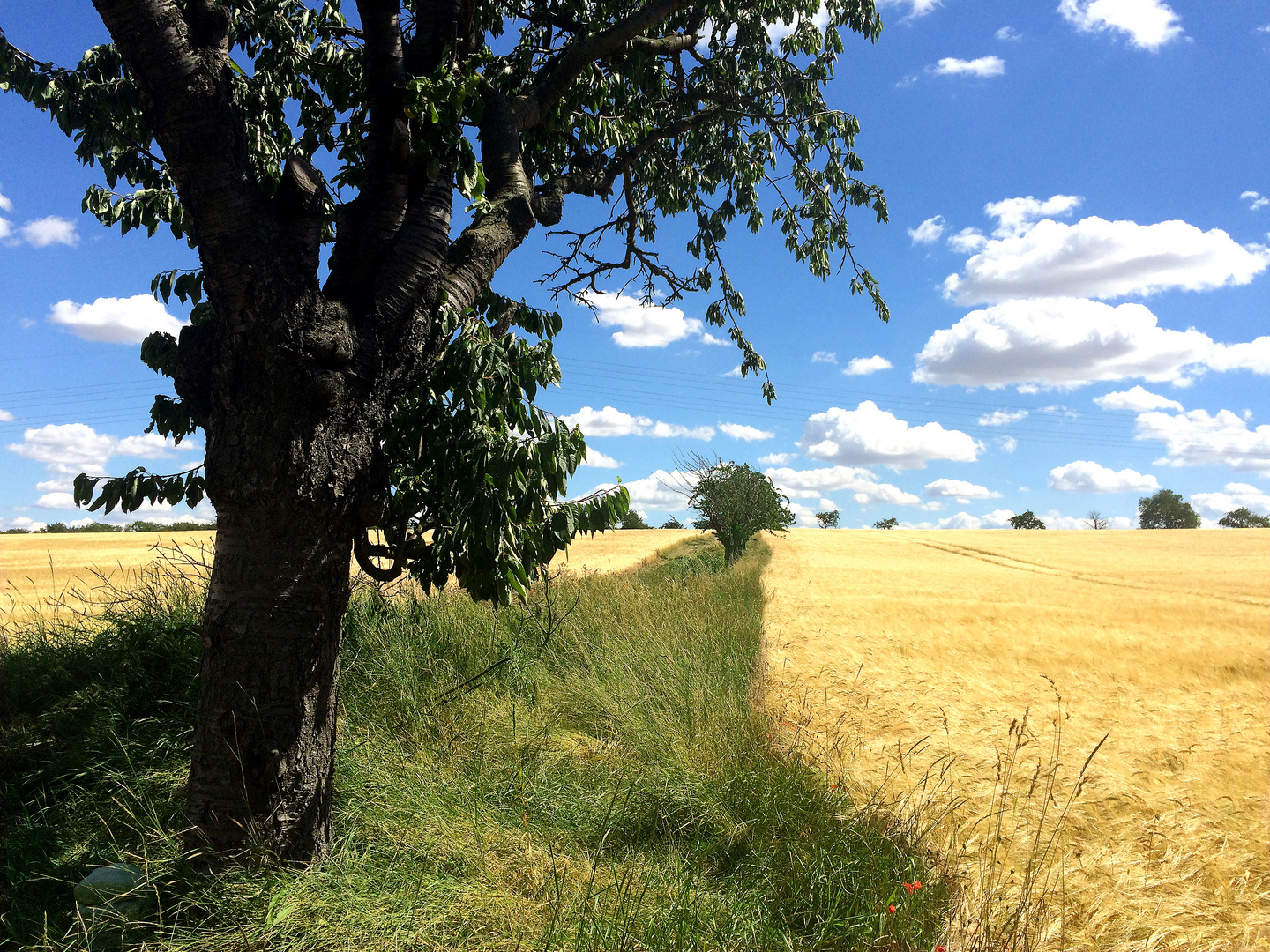 Juli Foto & Bild sommer, sonne, wolken Bilder auf