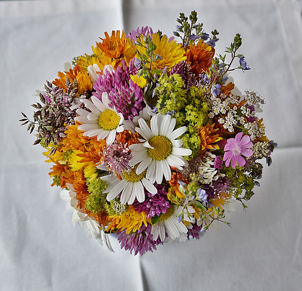 "Juli " Foto & Bild | natur, blüten Bilder auf fotocommunity