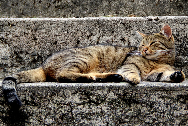 Juli auf der Treppe