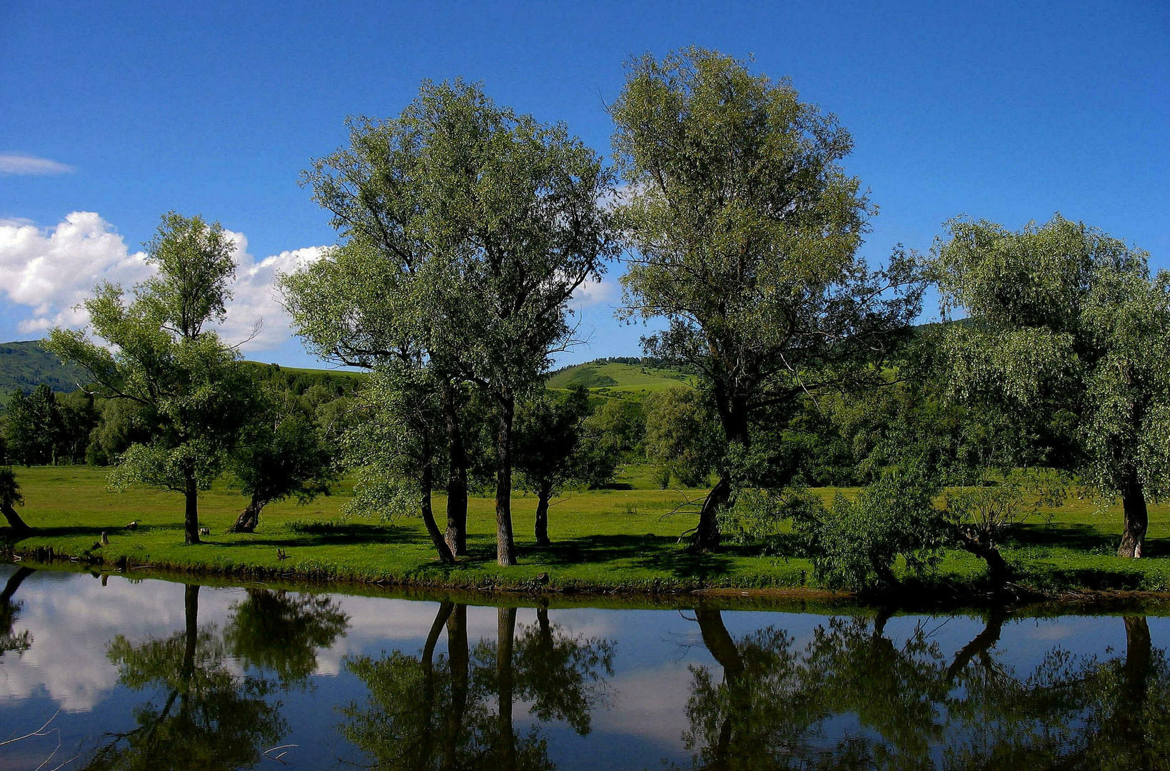 Juli Foto & Bild | landschaft, bach, fluss & see, natur Bilder auf