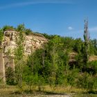 Juli im Weinbergsgrund (2)