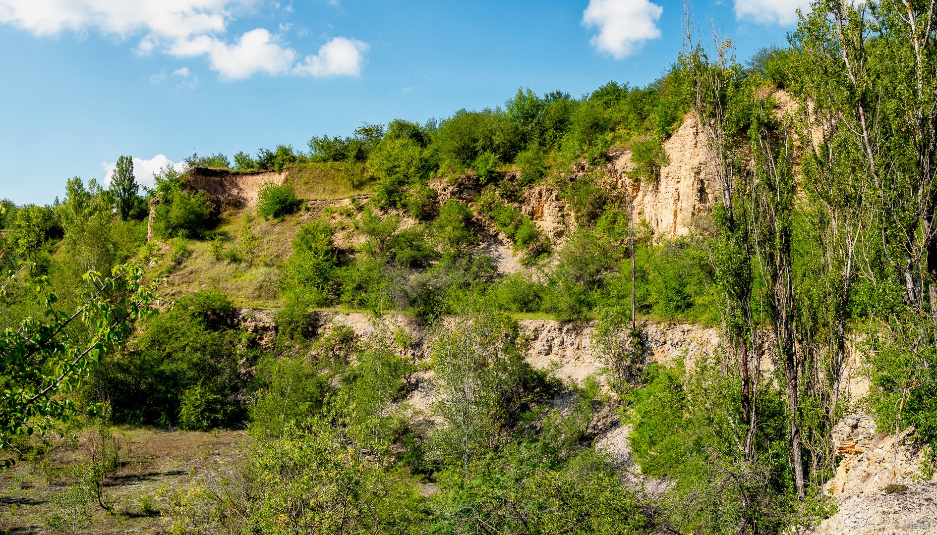 Juli im Weinbergsgrund