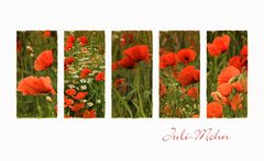 JULI-MOHN