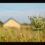 Juli - Spaziergang *2