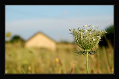 Juli - Spaziergang *2