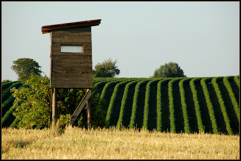 Juli - Spaziergang