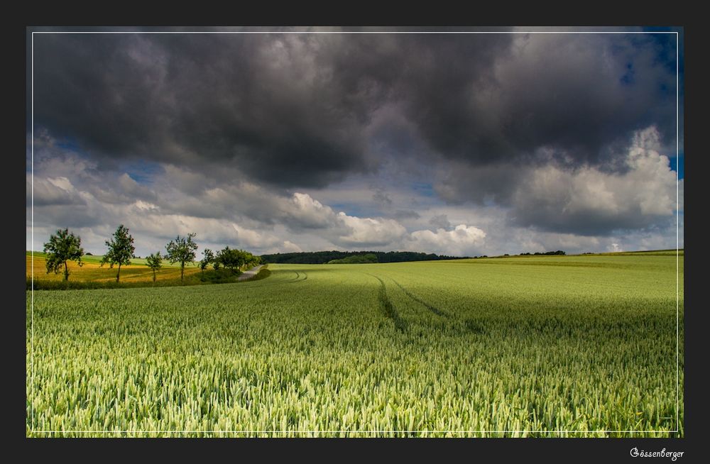 ++ Juli Wetter ++